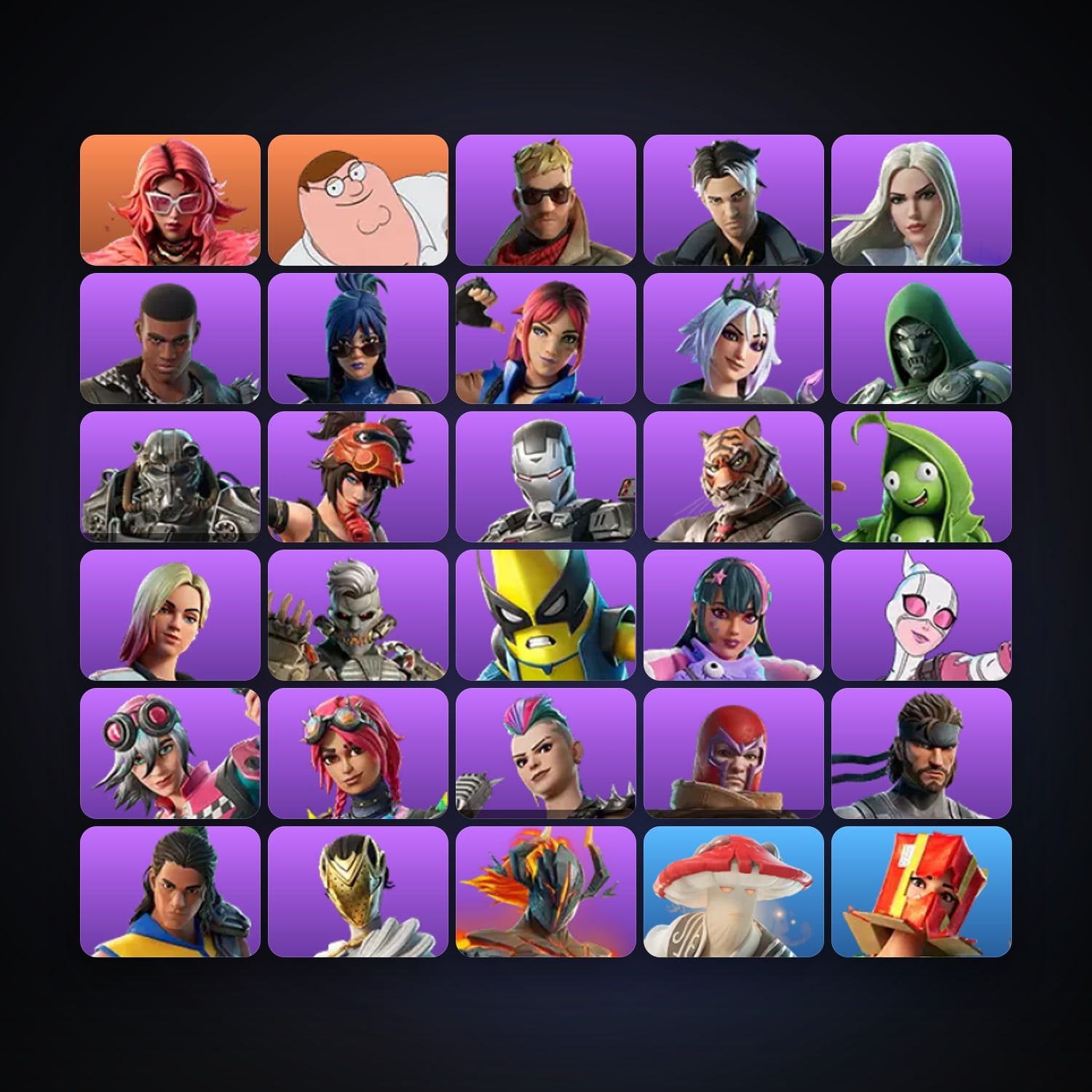 Fortnite locker — 33 skins — 100 V-Bucks — lvl 344 — HabibiAccounts