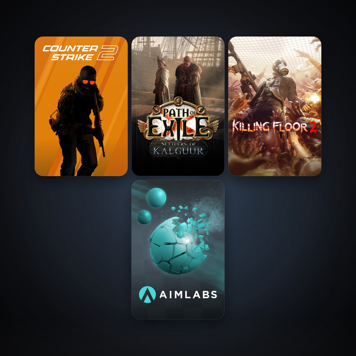 CS2 Prime + Killing Floor 2, 5 games, clean — HabibiAccounts