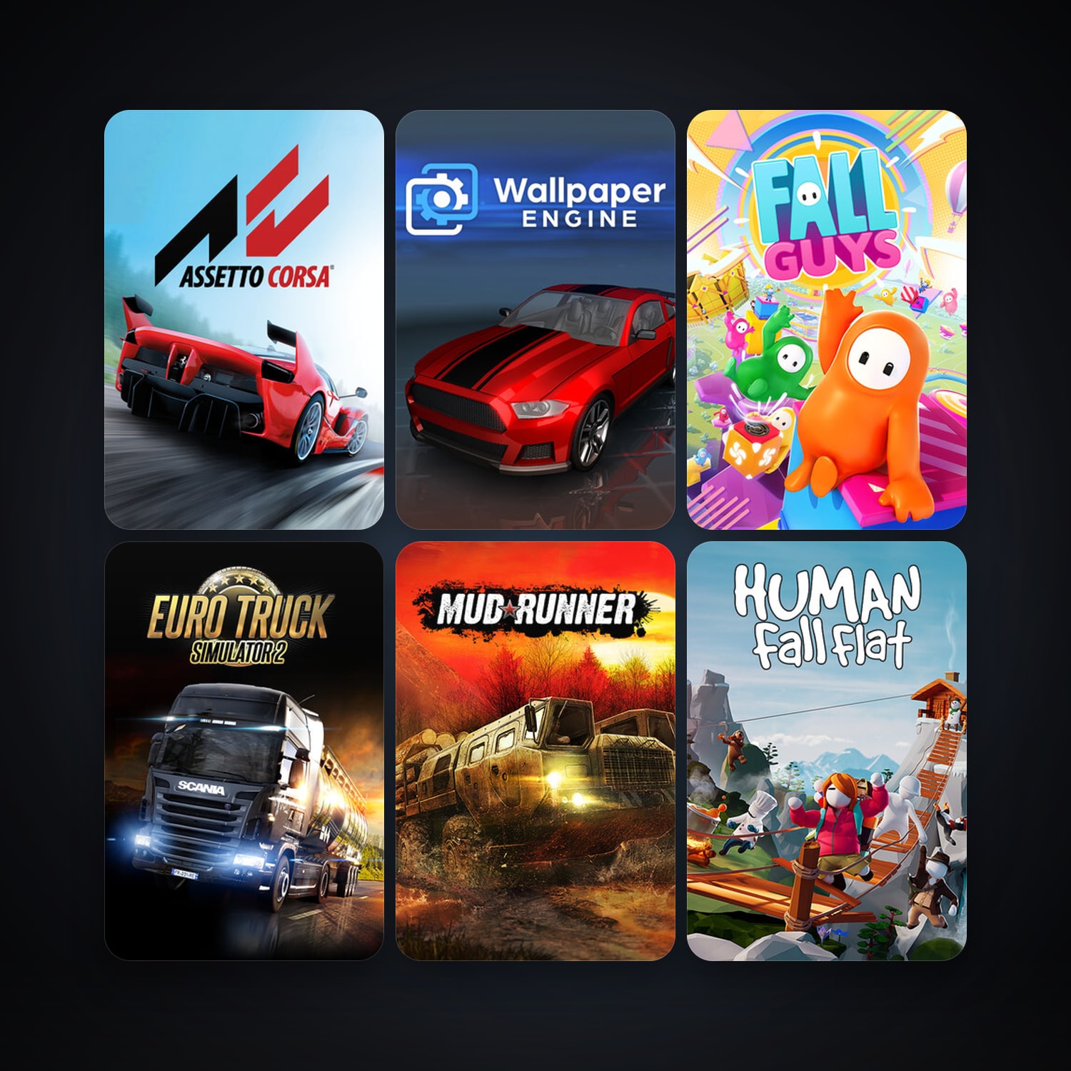 Free CS2 (No Prime) + Euro Truck Simulator 2, 13 games, clean — HabibiAccounts