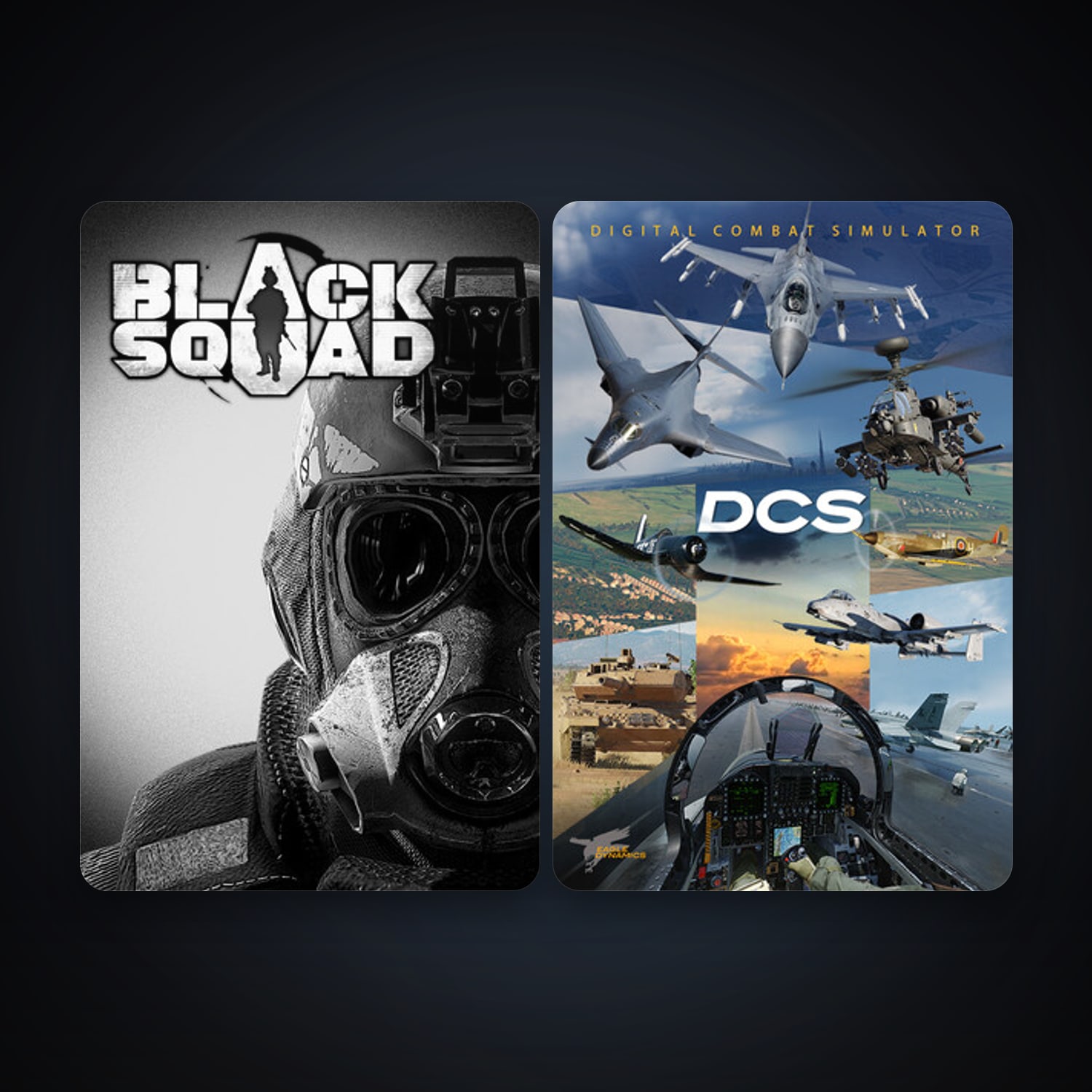 DCS World Steam Edition + Black Squad, 3 games, clean — HabibiAccounts