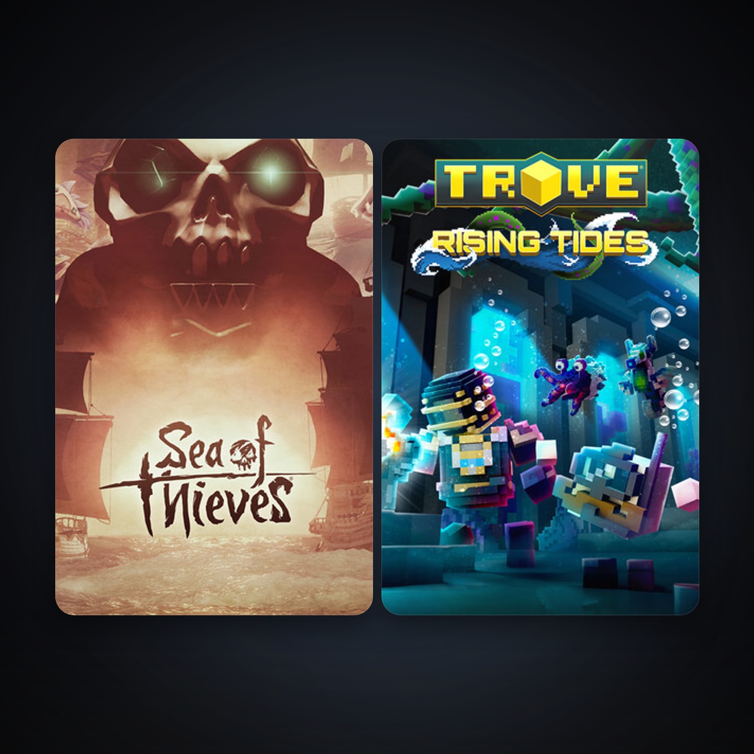 Trove + Sea of Thieves, 2 games, clean — HabibiAccounts