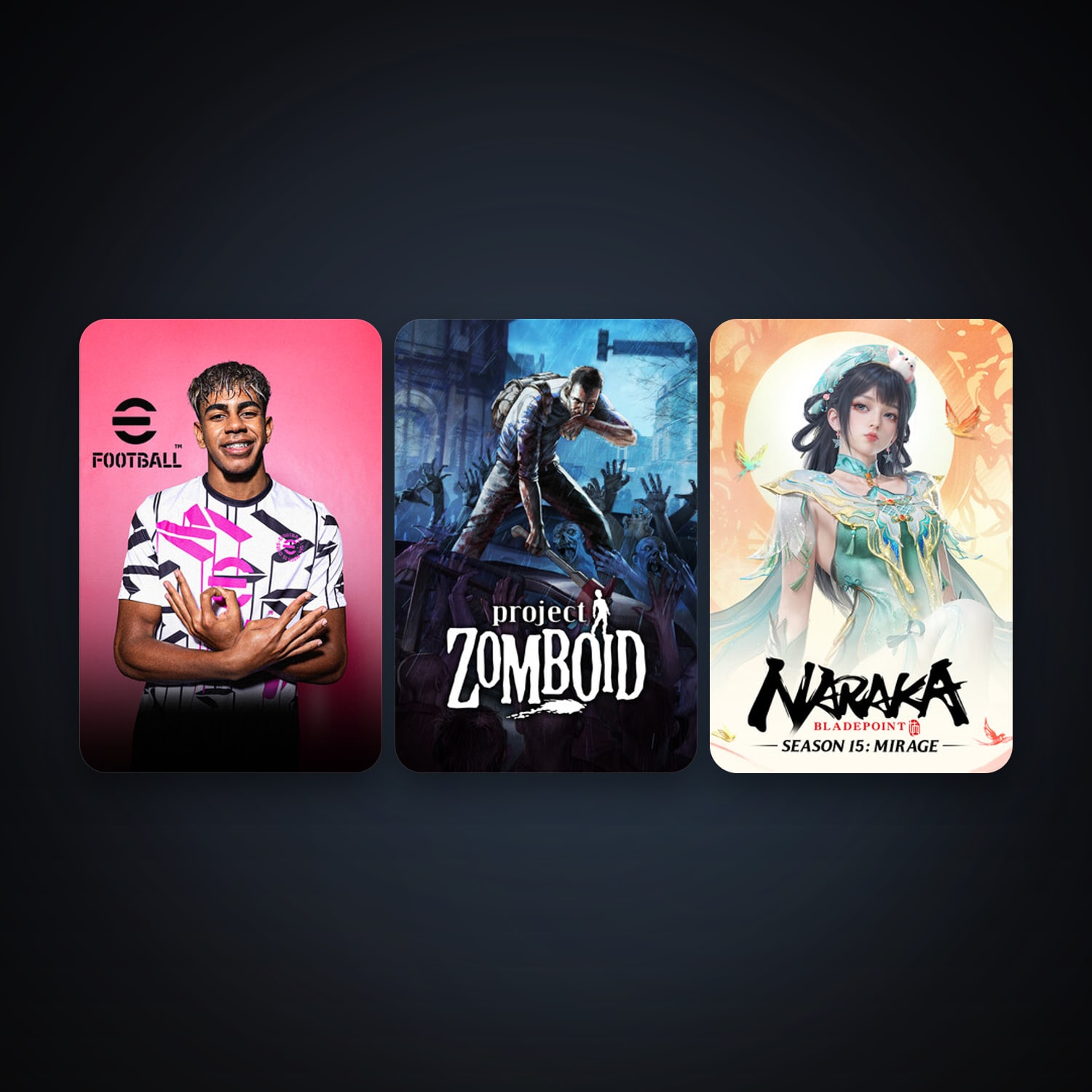 Project Zomboid + NARAKA: BLADEPOINT, 4 games, clean — HabibiAccounts