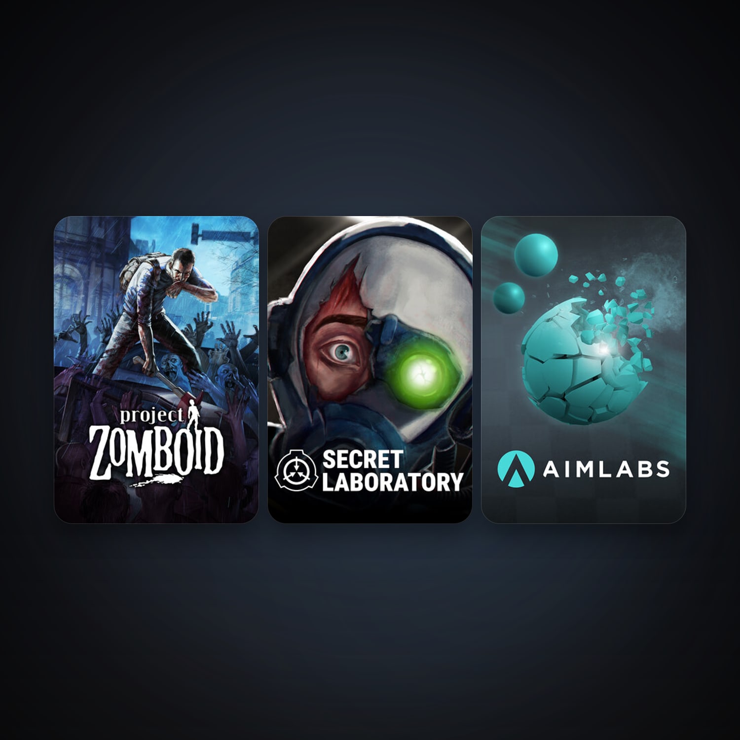 Project Zomboid + SCP: Secret Laboratory, 3 games, clean — HabibiAccounts