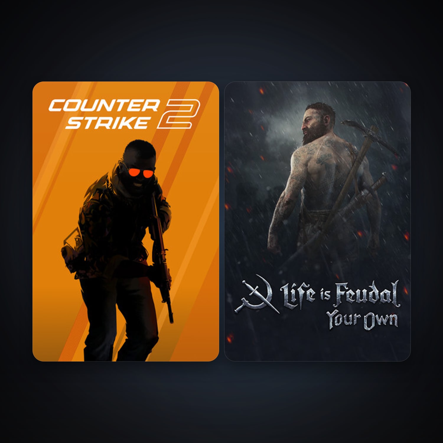 CS2 Prime + Life is Feudal: Your Own, 3 games, clean — HabibiAccounts