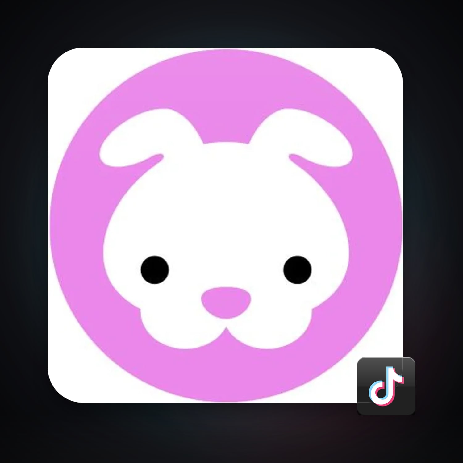 TikTok Account — HabibiAccounts