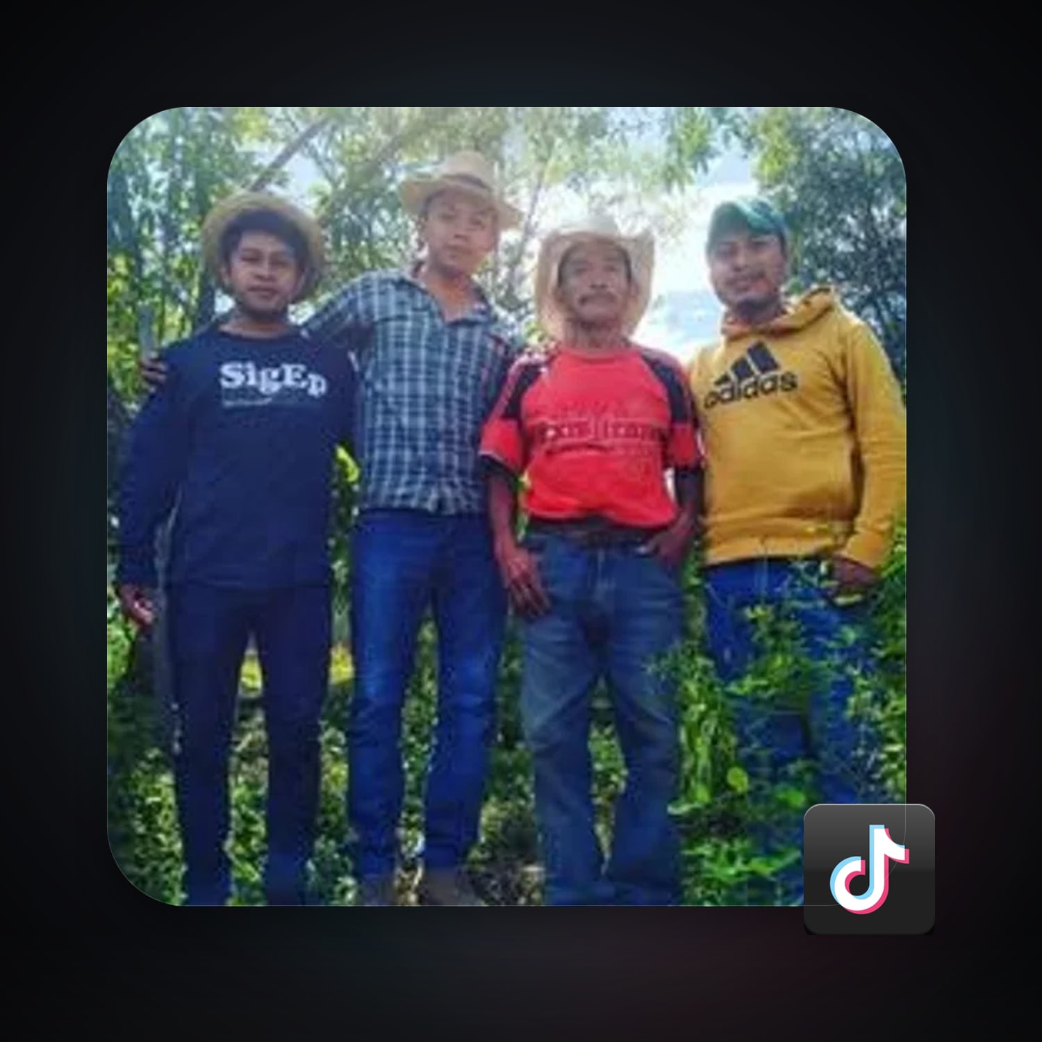 TikTok — HabibiAccounts