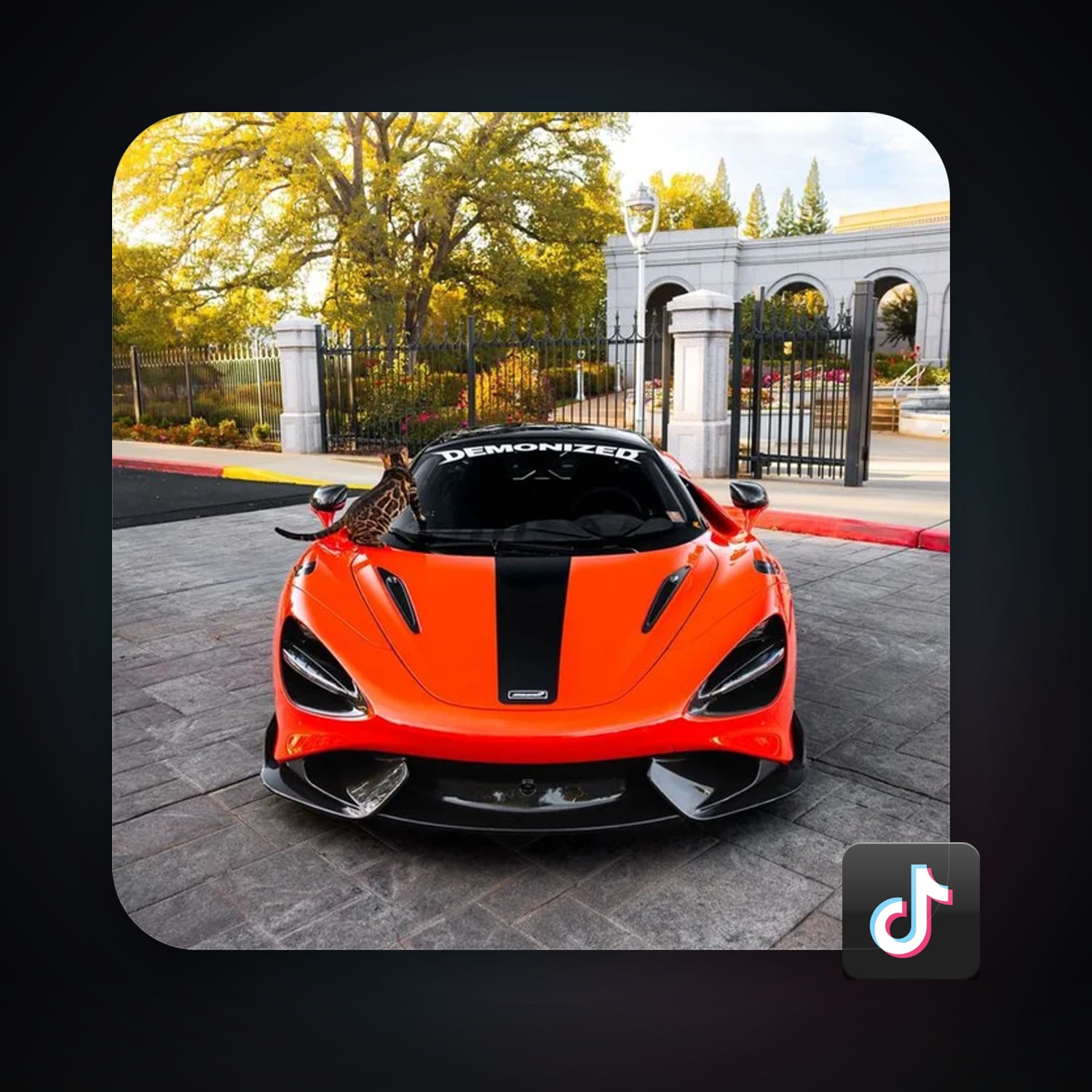 TikTok 2 followers — HabibiAccounts