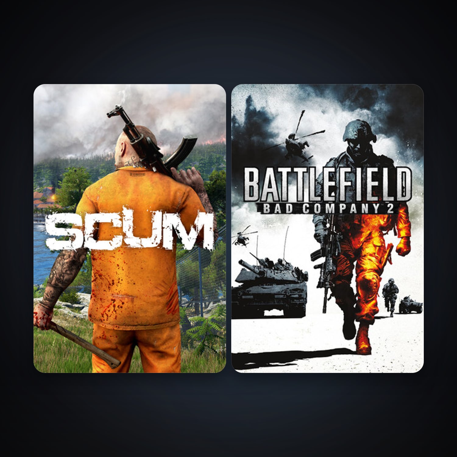 Battlefield: Bad Company 2 + SCUM, 2 games, clean — HabibiAccounts