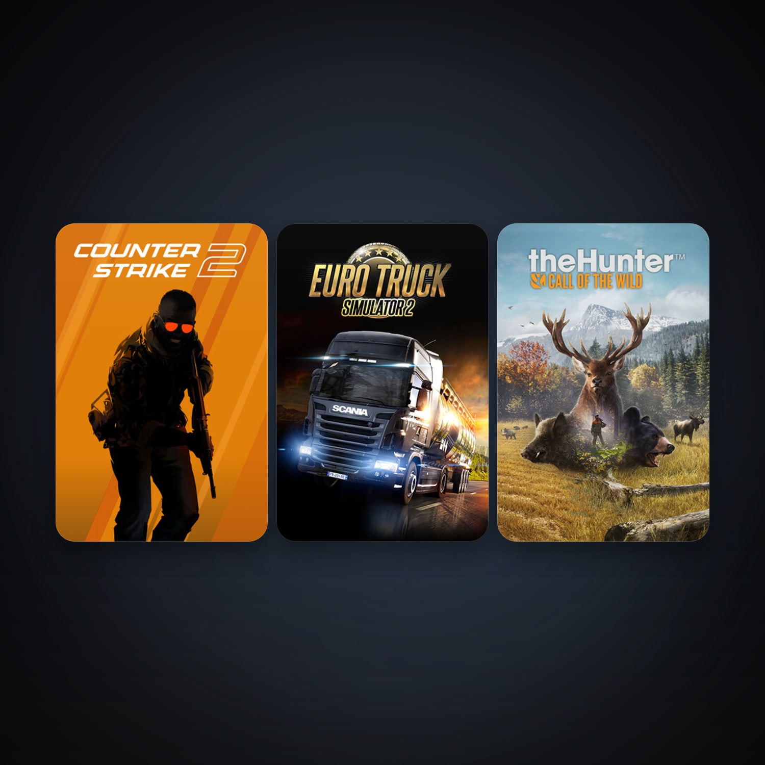CS2 Prime + Euro Truck Simulator 2, 3 games, clean — HabibiAccounts