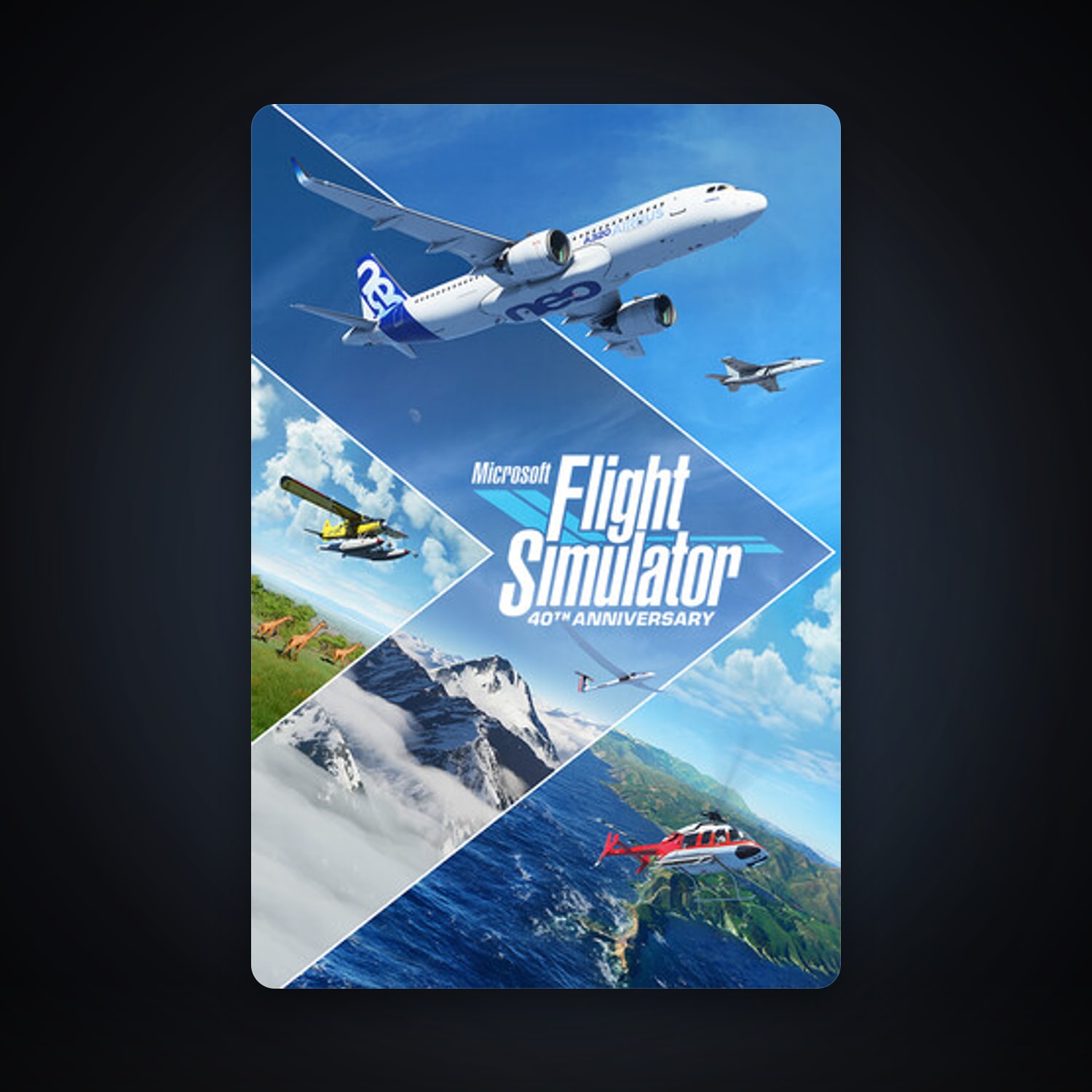 Microsoft Flight Simulator Game of the Year Edition, 1 games, clean — HabibiAccounts