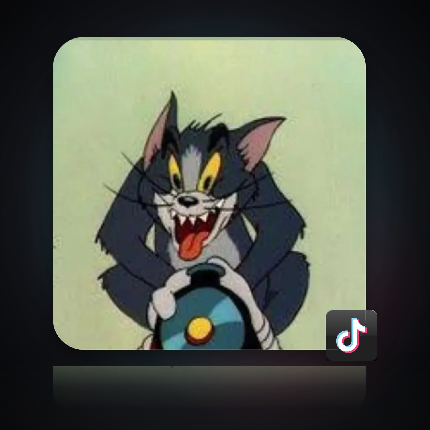 TikTok | 2.7K Followers — HabibiAccounts