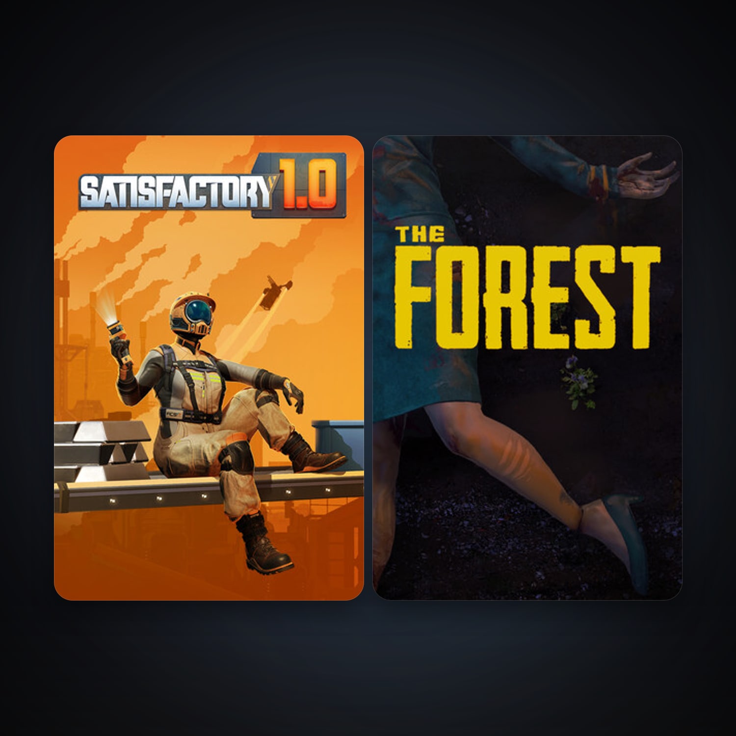 The Forest + Satisfactory, 2 games, clean — HabibiAccounts