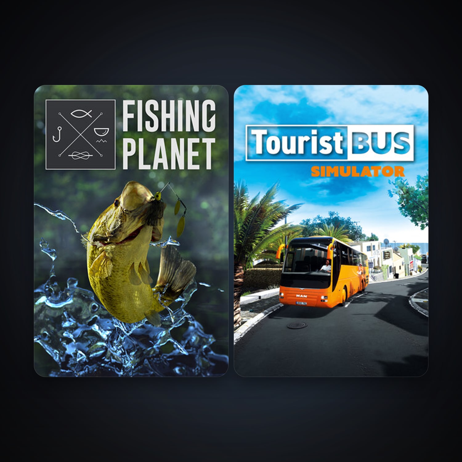Fishing Planet + Tourist Bus Simulator, 2 games, clean — HabibiAccounts