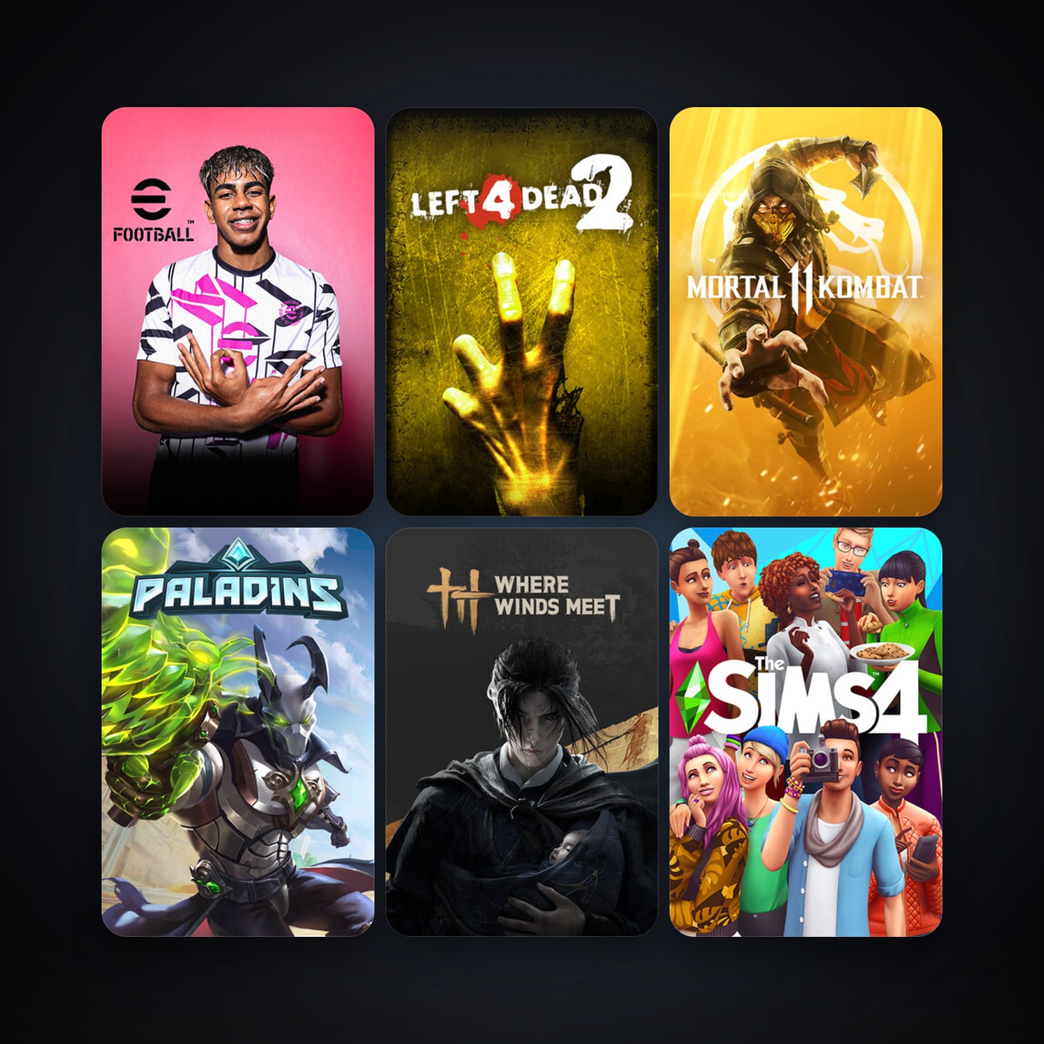 Left 4 Dead 2 + Paladins, 8 games, clean — HabibiAccounts