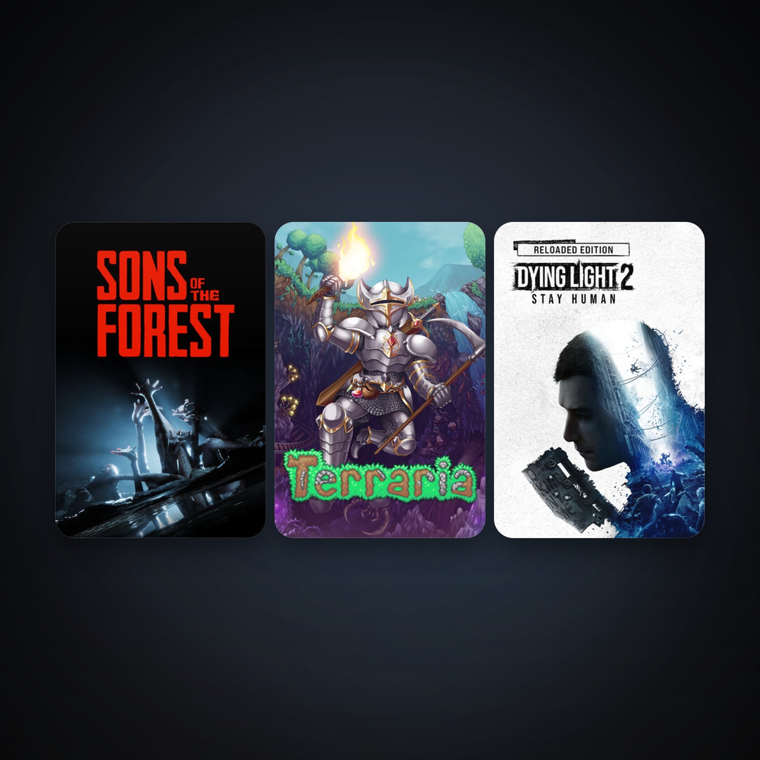Terraria + Dying Light 2 Stay Human, 3 games, clean — HabibiAccounts