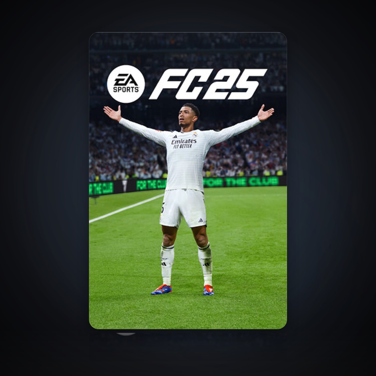 EA SPORTS FC 25 — HabibiAccounts