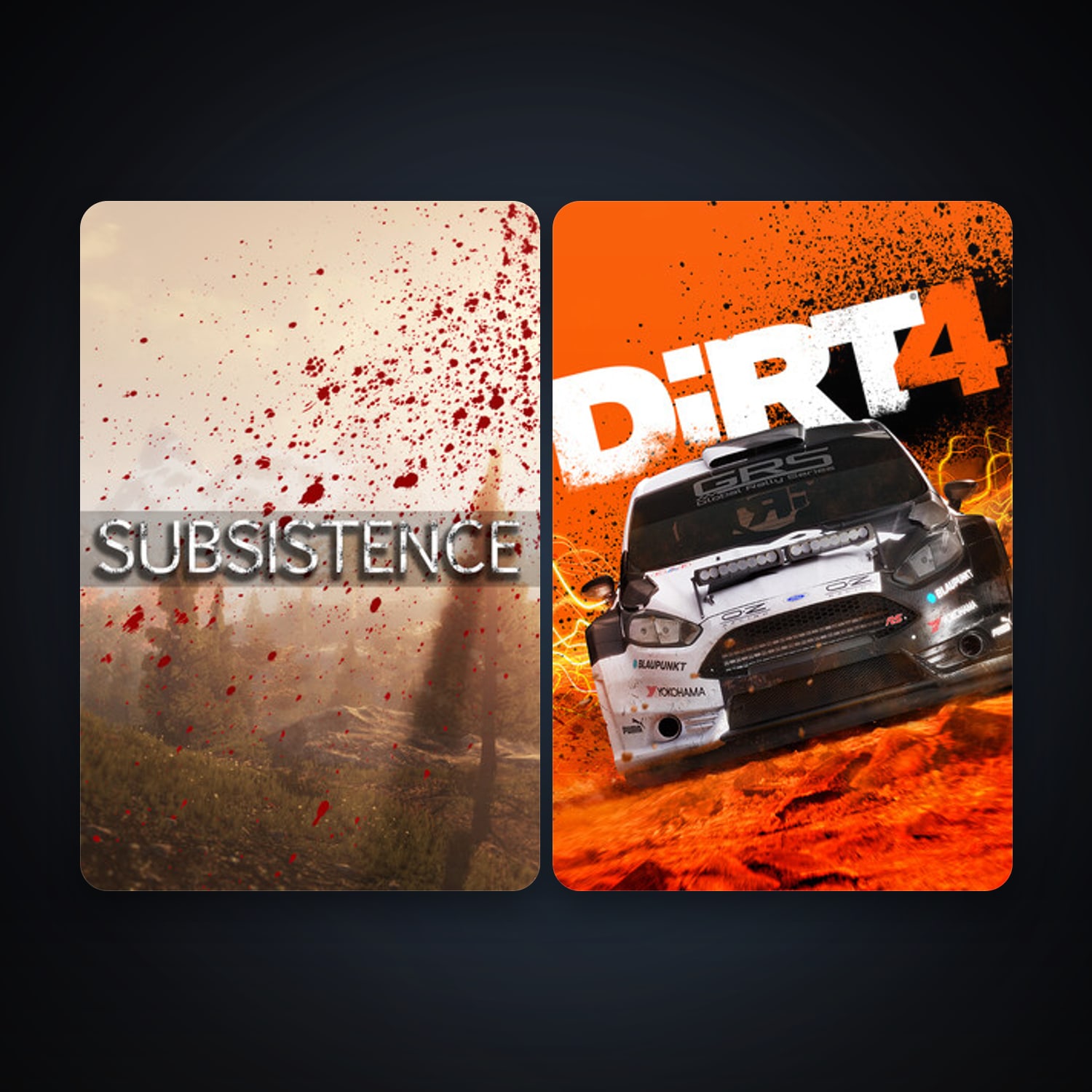 Subsistence + DiRT 4, 4 games, clean — HabibiAccounts