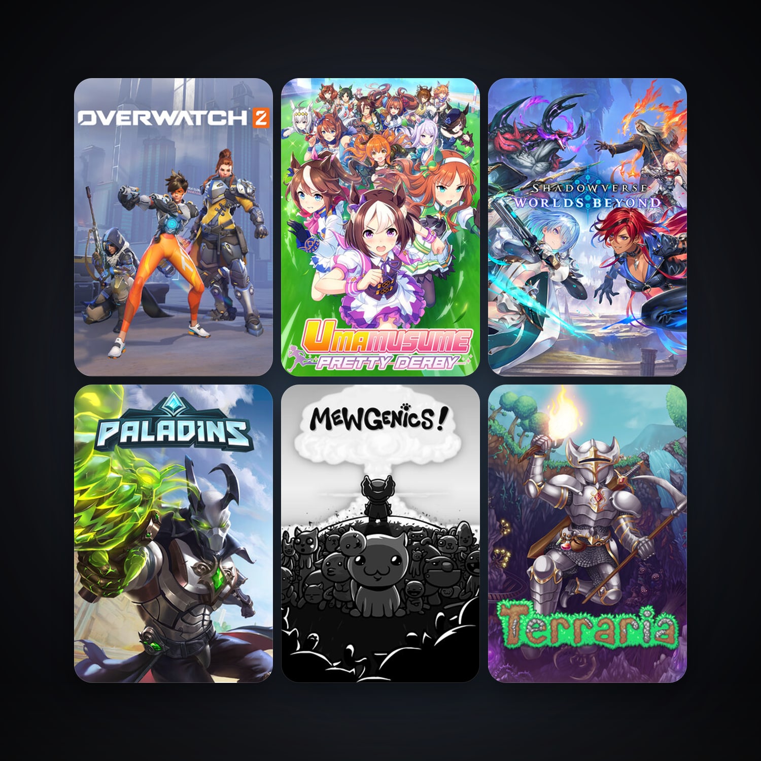 Terraria + Paladins, 14 games, clean — HabibiAccounts
