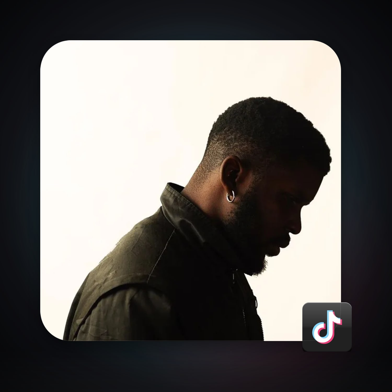 TikTok 361 followers — HabibiAccounts