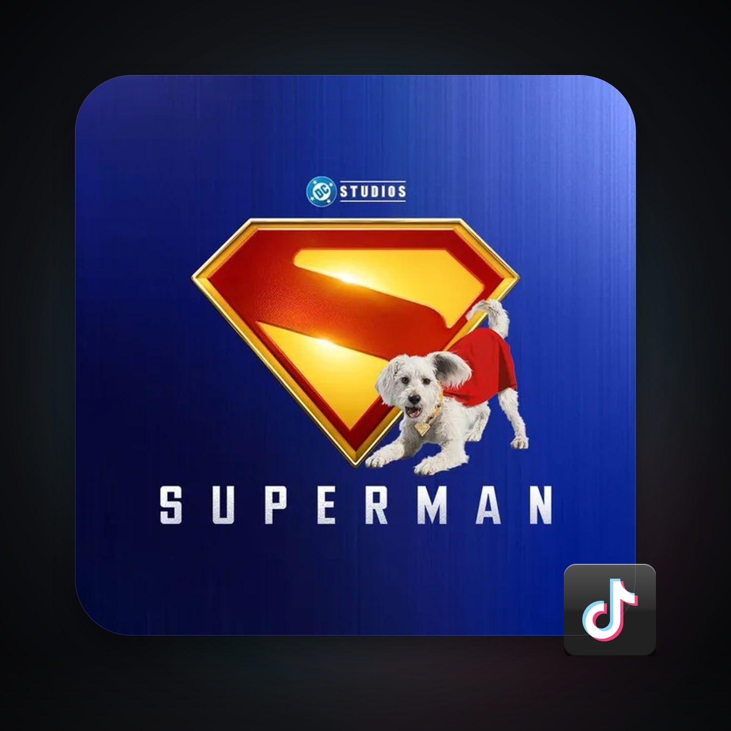 TikTok 2.4K followers · 233202321 — HabibiAccounts