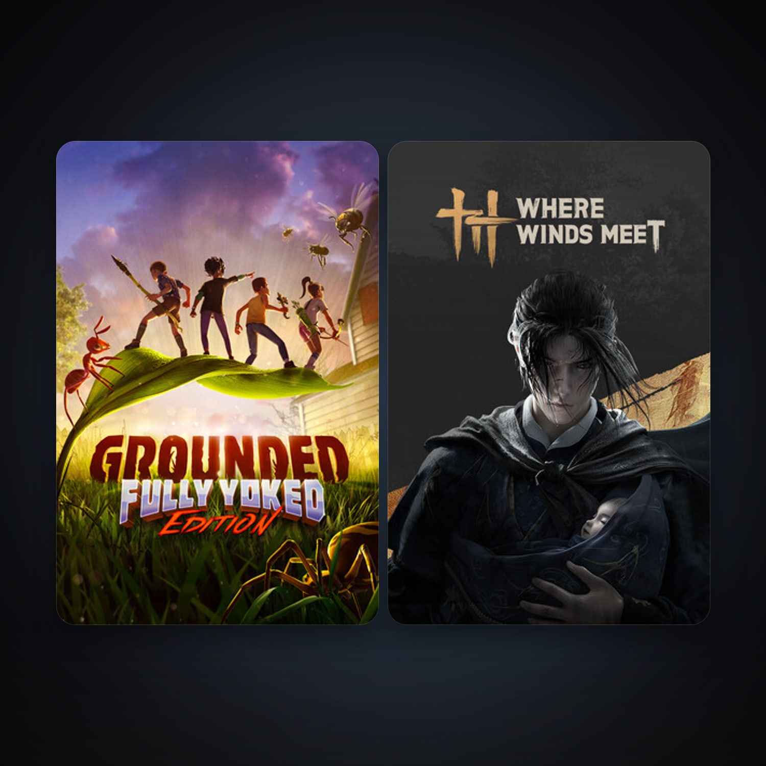 Grounded & Where Winds Meet — HabibiAccounts