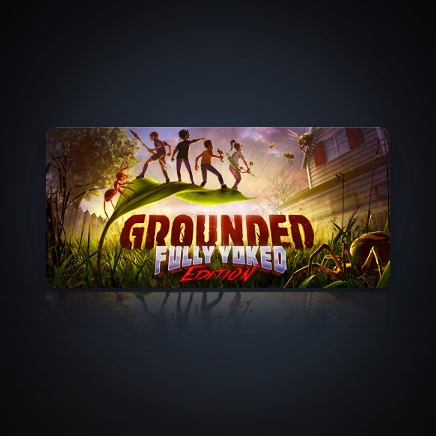 Grounded — HabibiAccounts