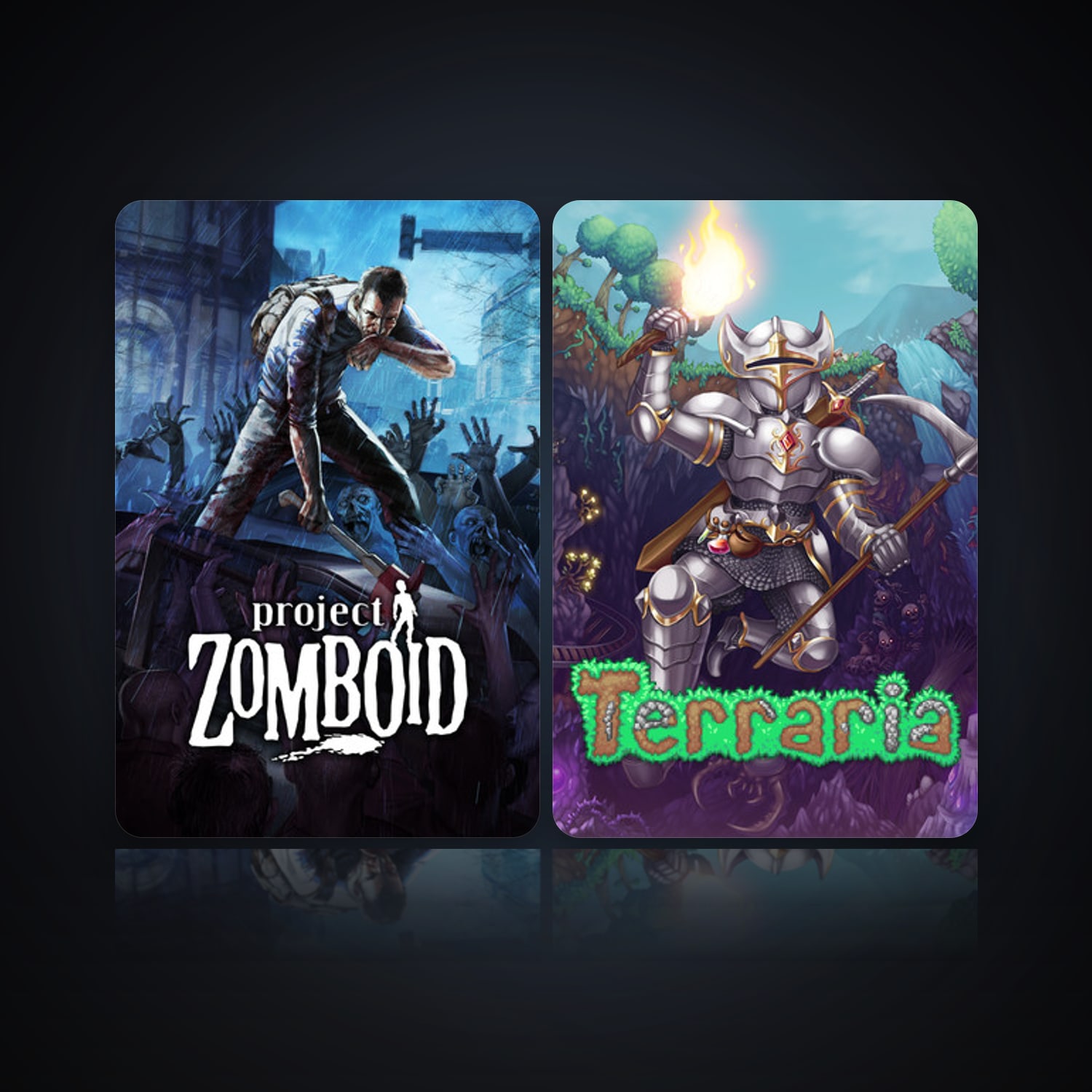 Project Zomboid & Terraria — HabibiAccounts