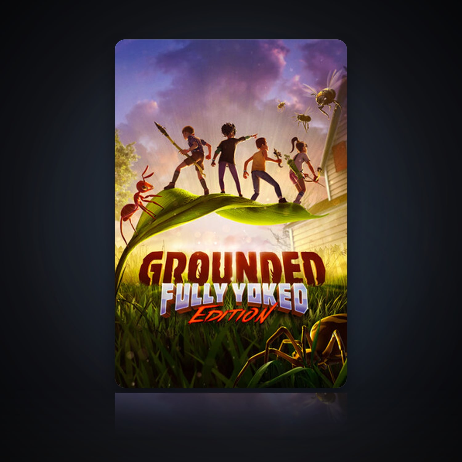 Grounded — HabibiAccounts