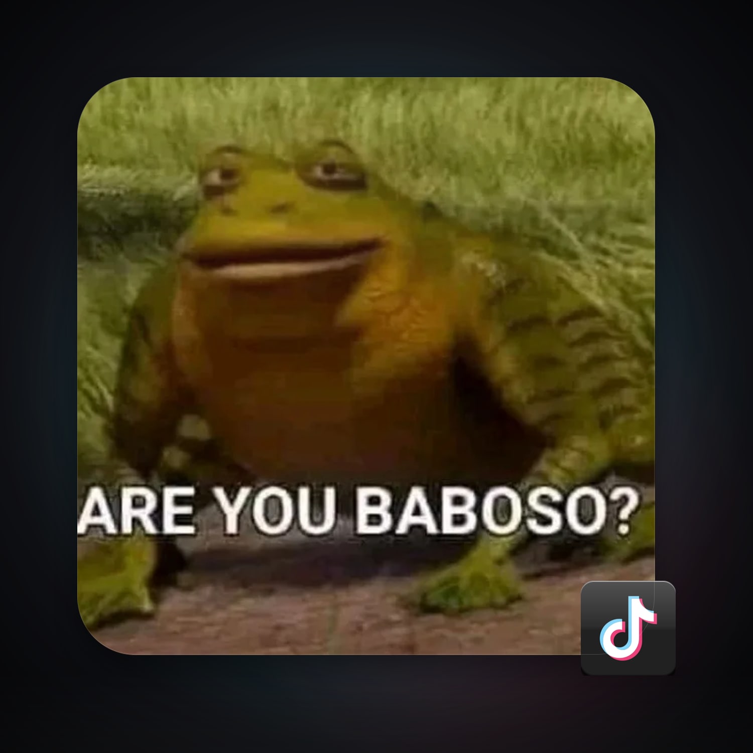 TikTok 5 followers — HabibiAccounts