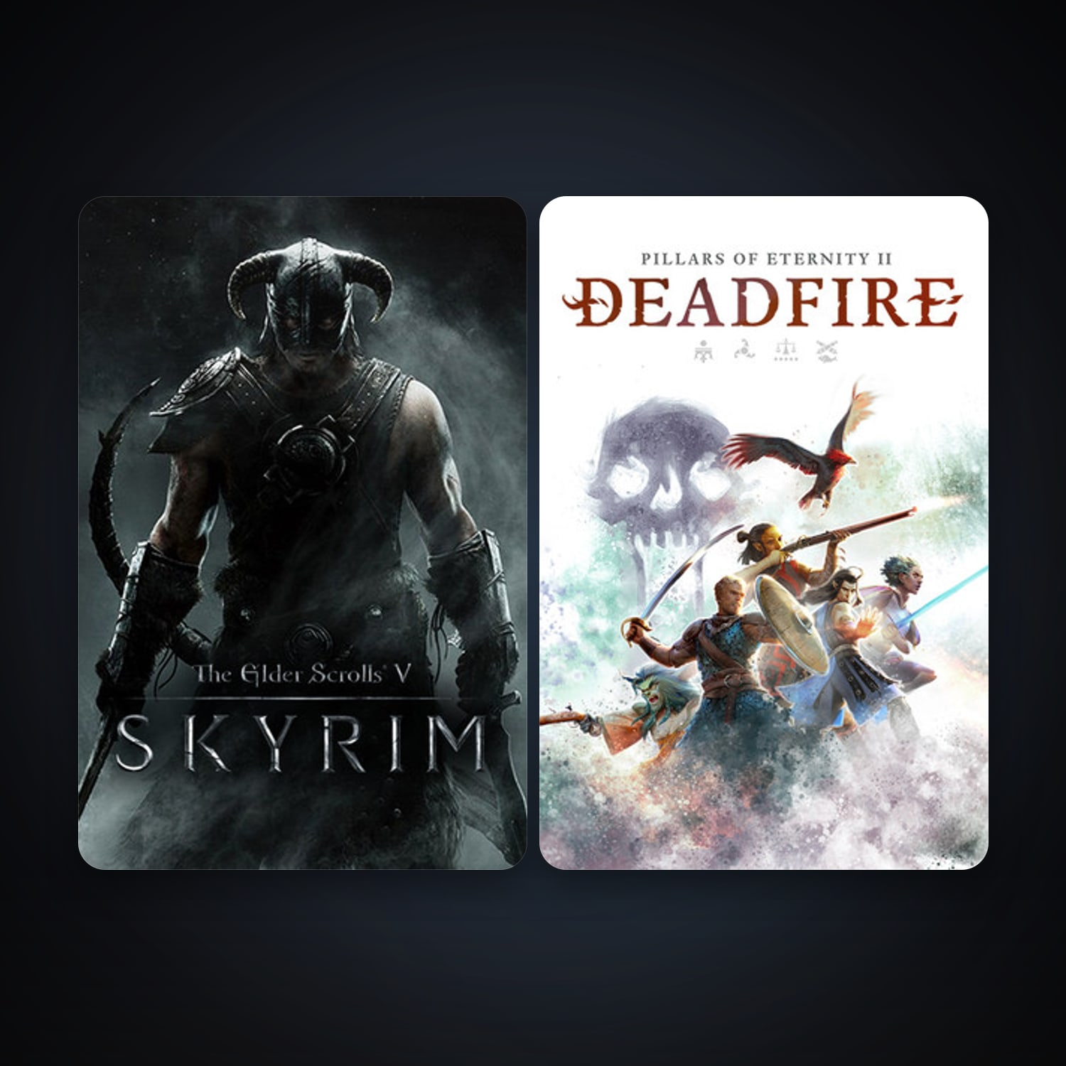 The Elder Scrolls V: Skyrim + Pillars of Eternity II: Deadfire, 2 games, clean — HabibiAccounts
