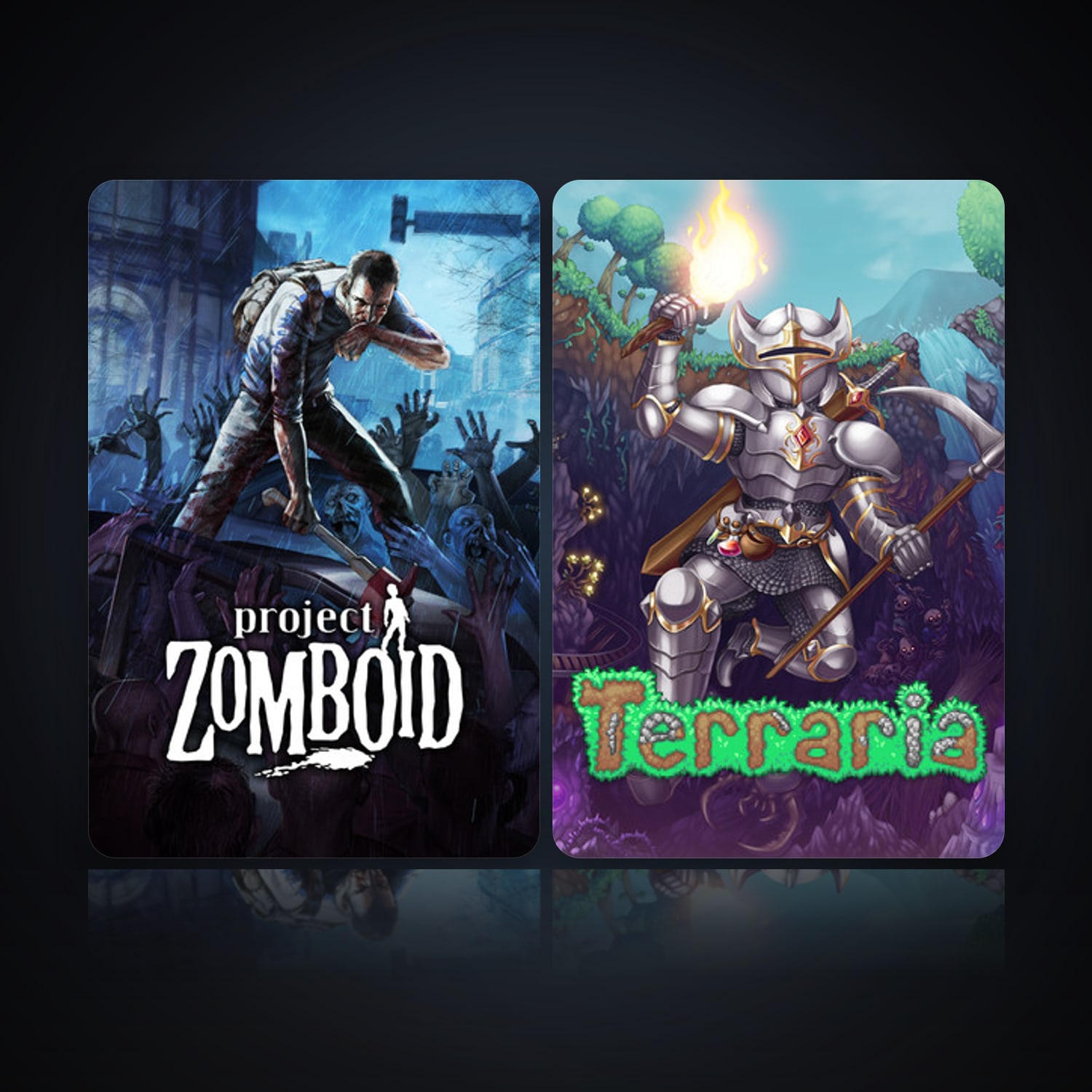 Project Zomboid & Terraria — HabibiAccounts