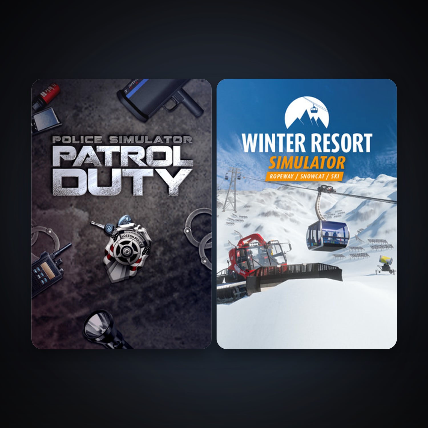 Police Simulator: Patrol Duty + Winter Resort Simulator, 5 games, clean — HabibiAccounts
