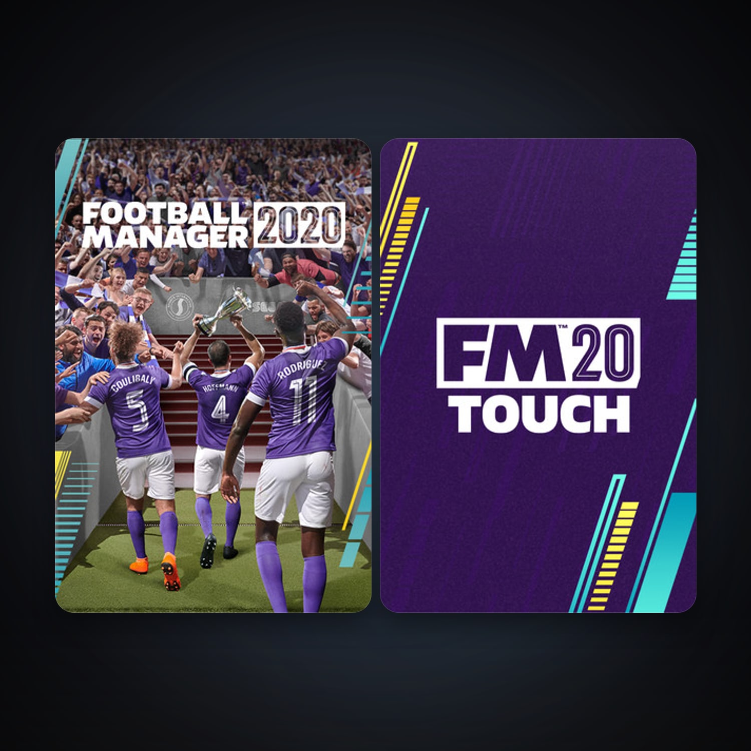 Football Manager 2020 + Football Manager 2020 Touch, 2 games, clean — HabibiAccounts