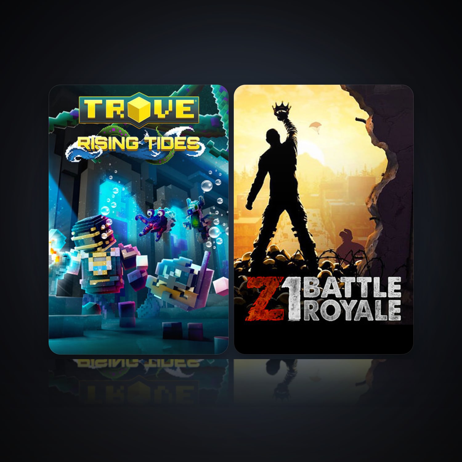هالحساب ستيم فلين، Trove وZ1 Battle Royale، 9 لعبة، صامد واضح — HabibiAccounts