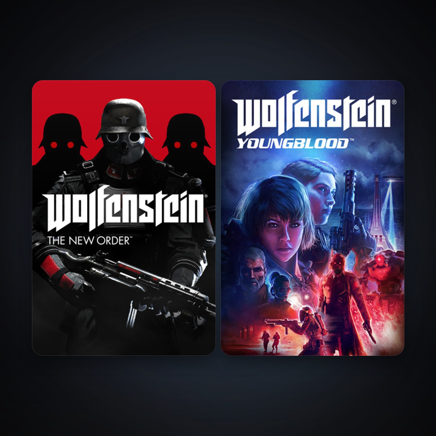 Wolfenstein: The New Order + Wolfenstein: Youngblood, 2 games, clean — HabibiAccounts