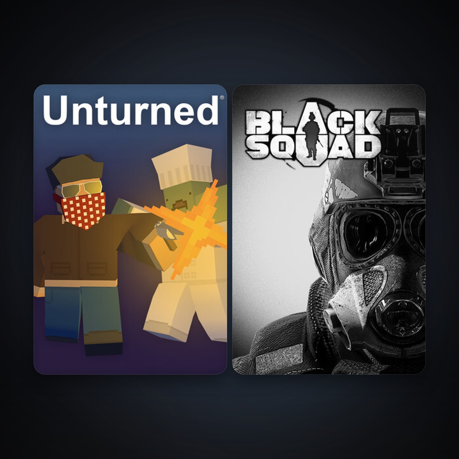 هالحساب ستيم فلين، Unturned وBlack Squad، 13 لعبة، صامد واضح — HabibiAccounts