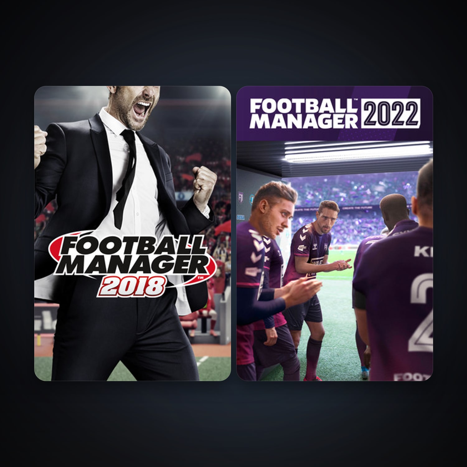 Football Manager 2018 + Football Manager 2022, 3 games, clean — HabibiAccounts