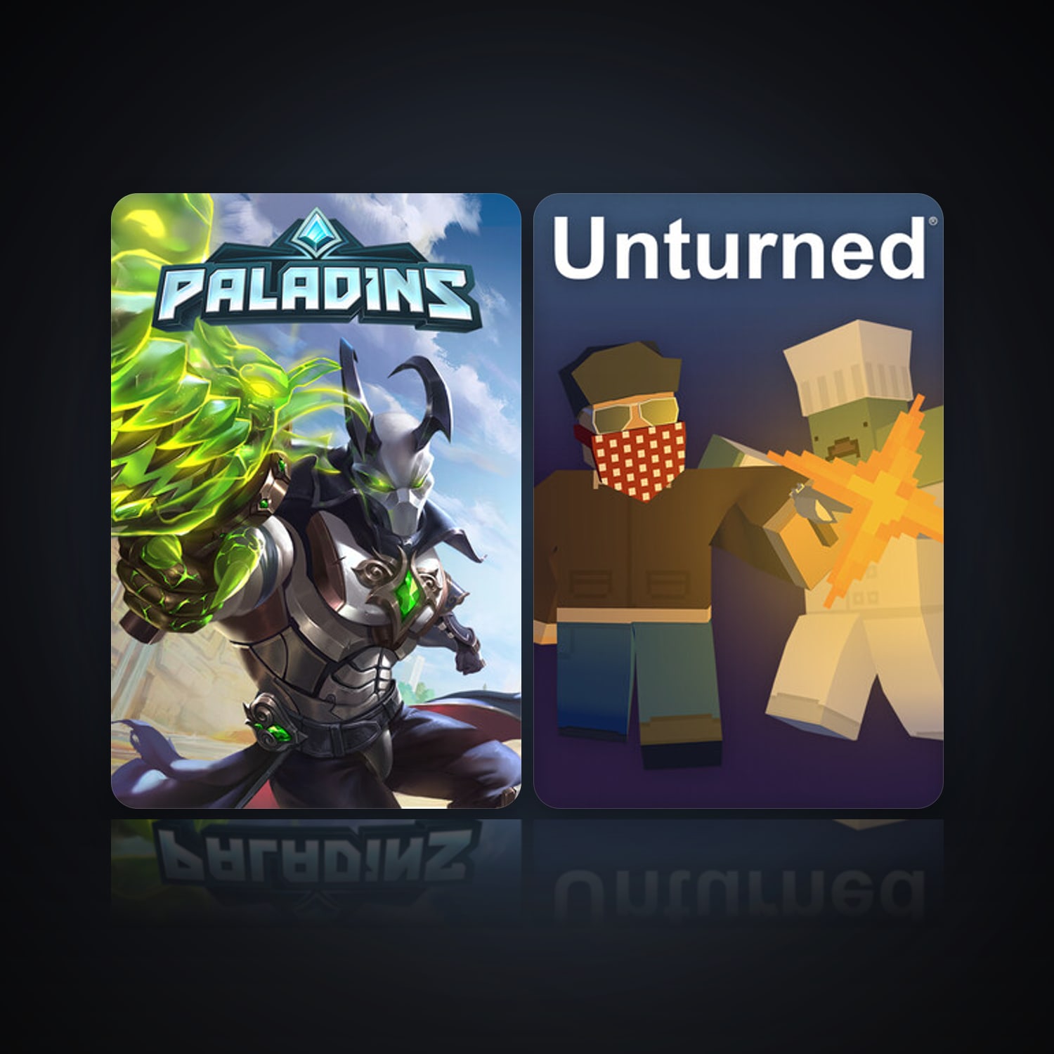 Paladins & Unturned — HabibiAccounts