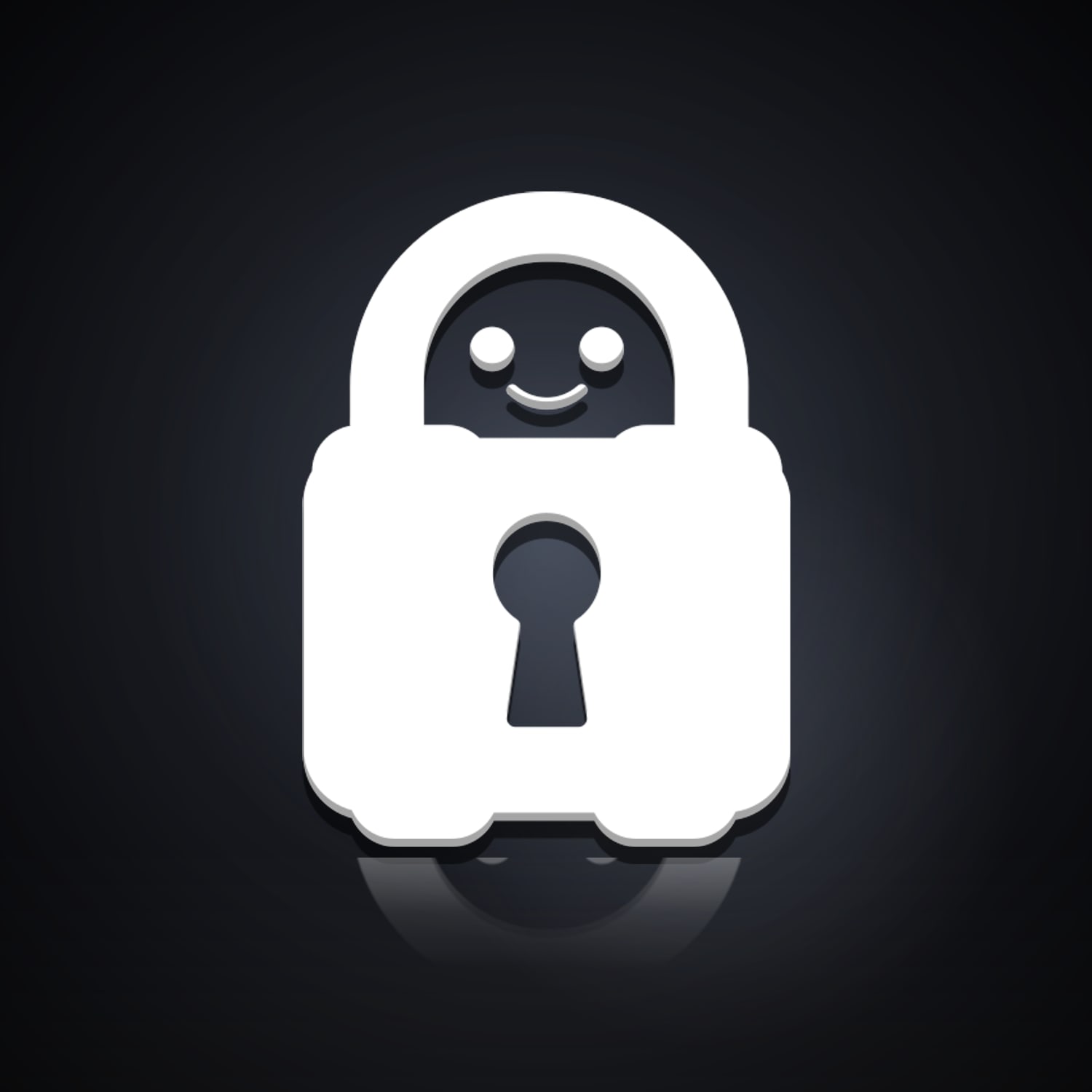 PIA VPN | auto-renewal disabled | subscription until Dec 27, 2026 — HabibiAccounts
