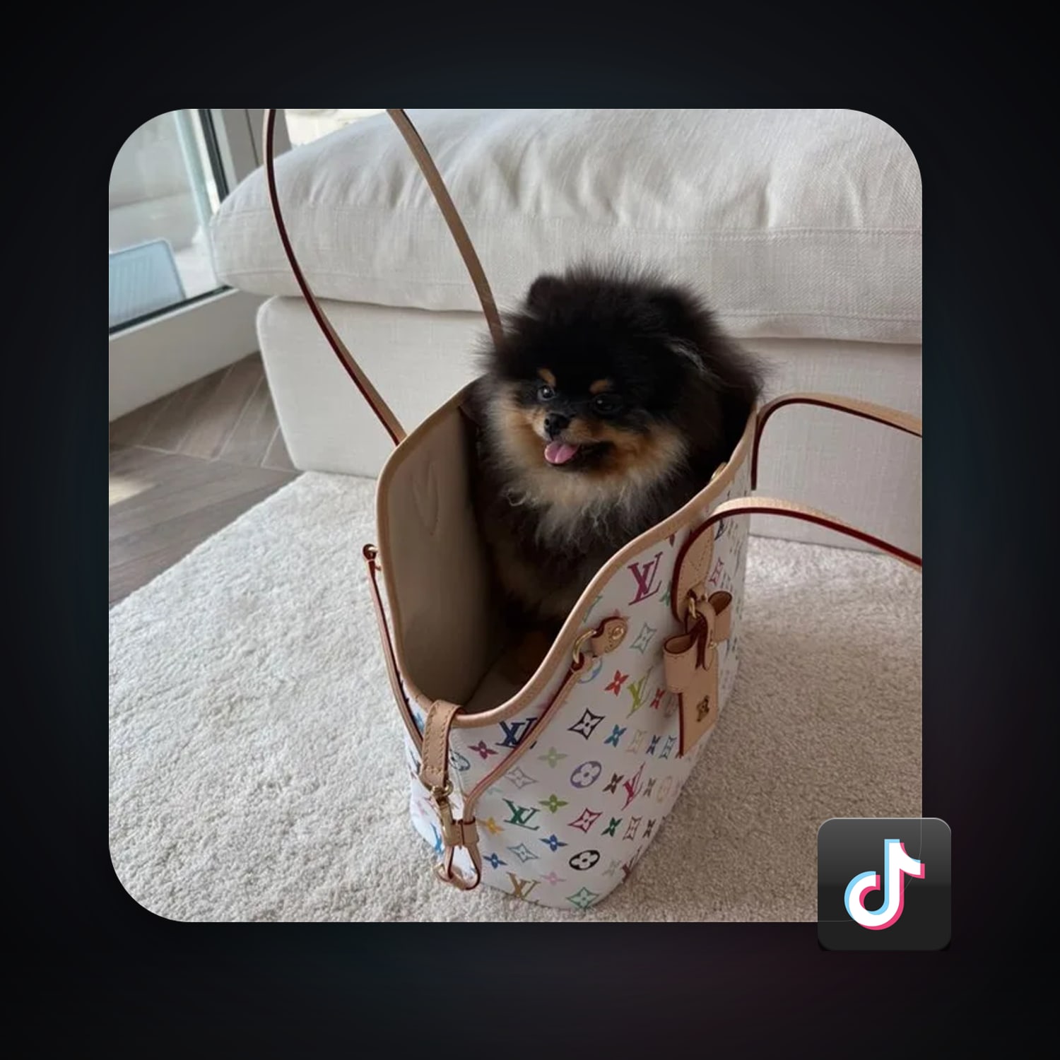 TikTok | 2.6K Followers — HabibiAccounts