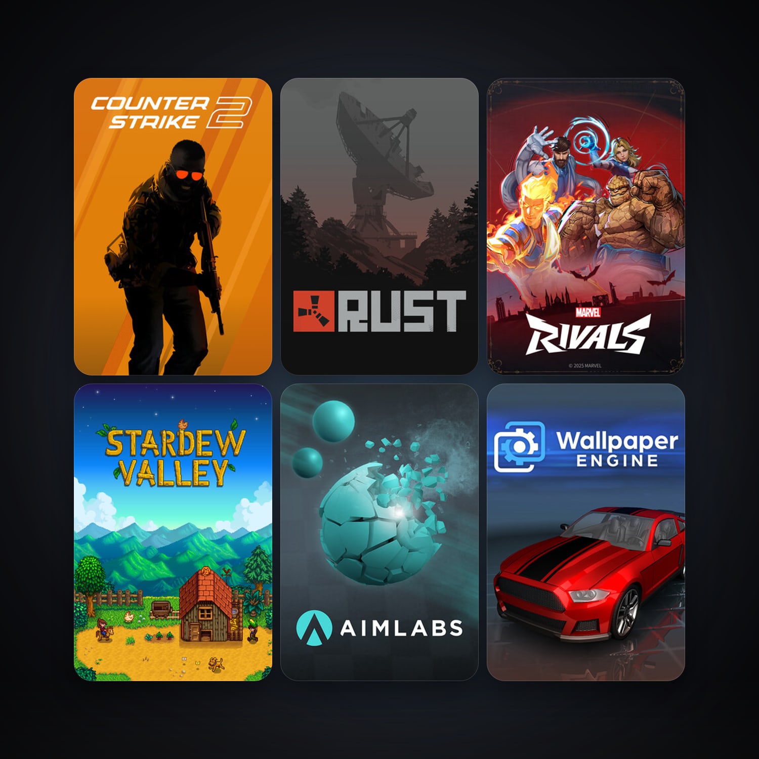 CS2 Prime + Stardew Valley, 24 games, clean — HabibiAccounts