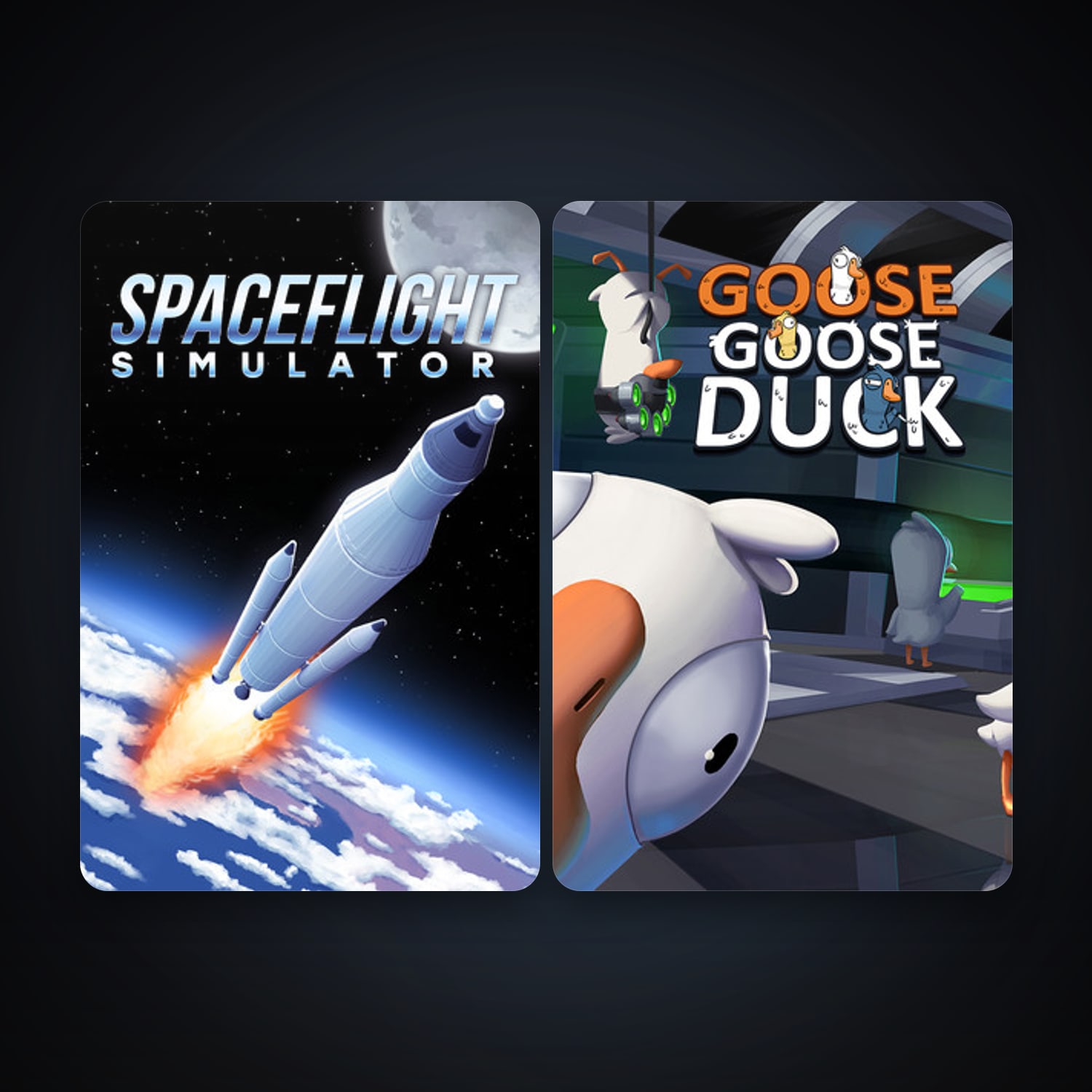 Goose Goose Duck + Spaceflight Simulator, 2 games, clean — HabibiAccounts