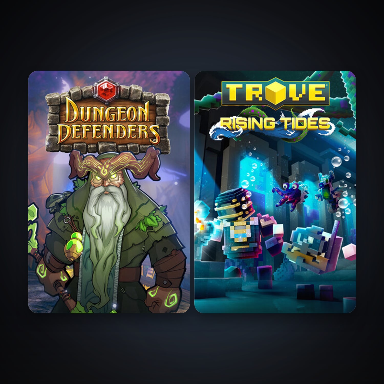 Dungeon Defenders + Trove, 2 games, clean — HabibiAccounts