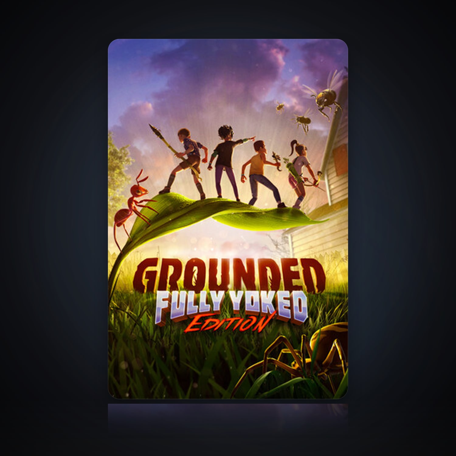 Grounded — HabibiAccounts