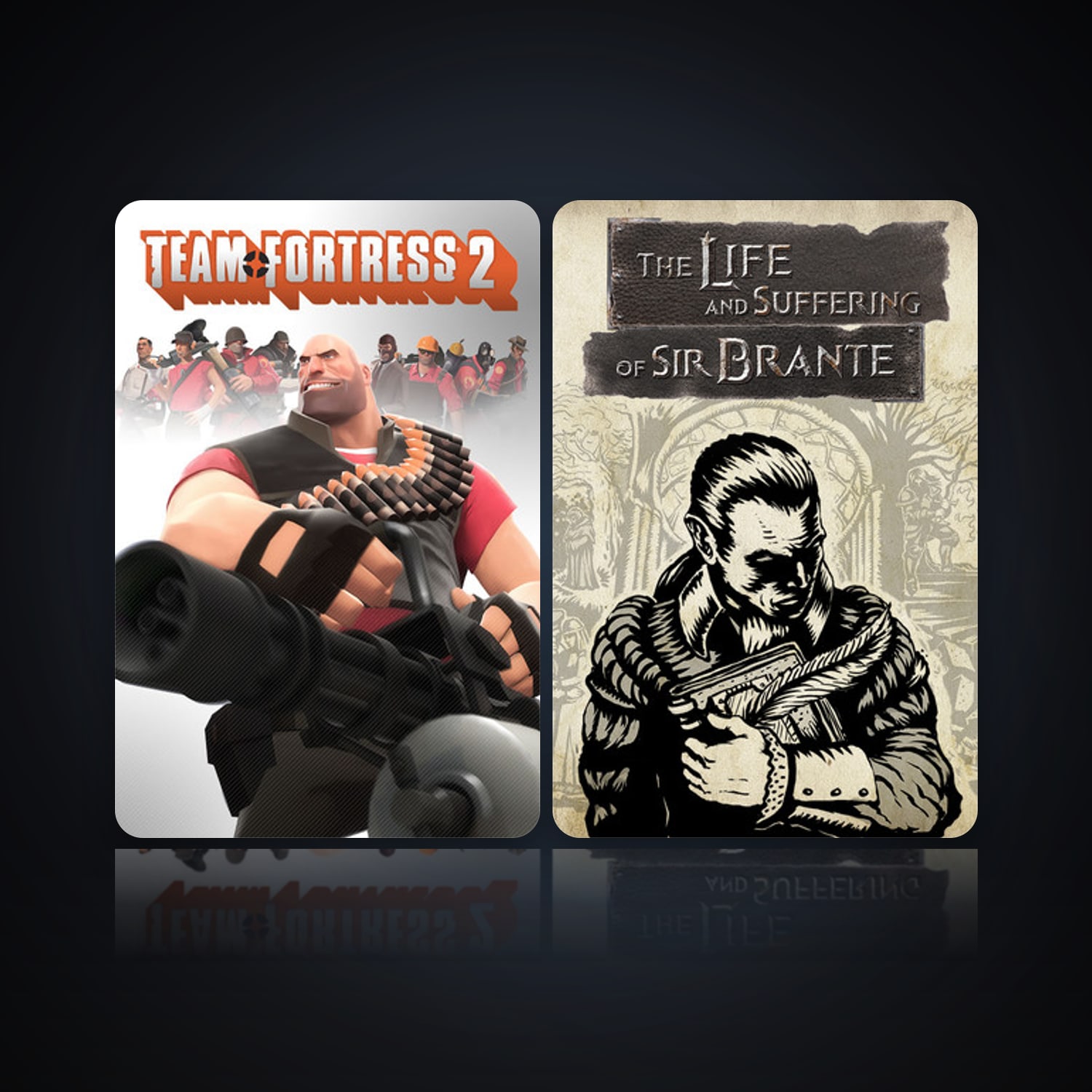 Team Fortress 2 & The Life and Suffering of Sir Brante — HabibiAccounts