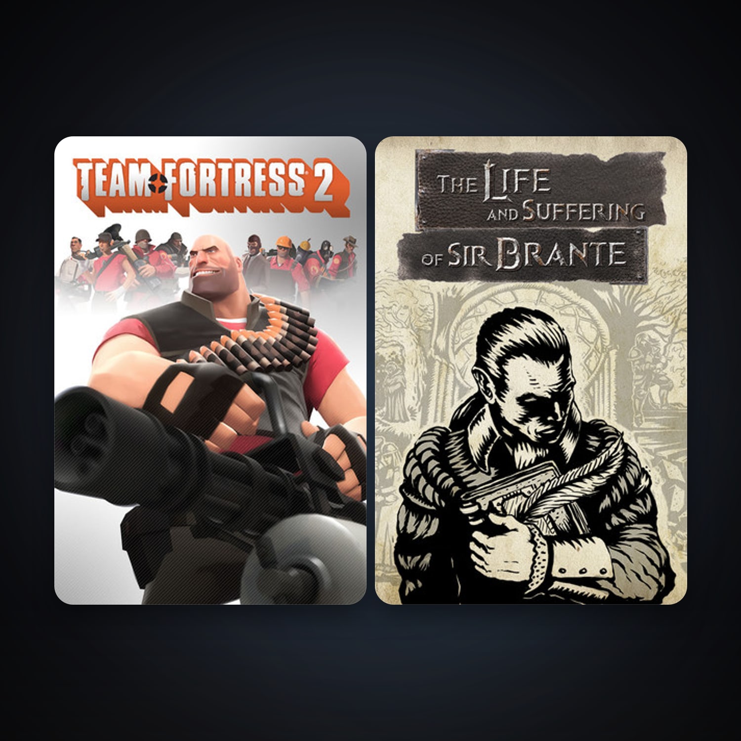 Team Fortress 2 & The Life and Suffering of Sir Brante — HabibiAccounts