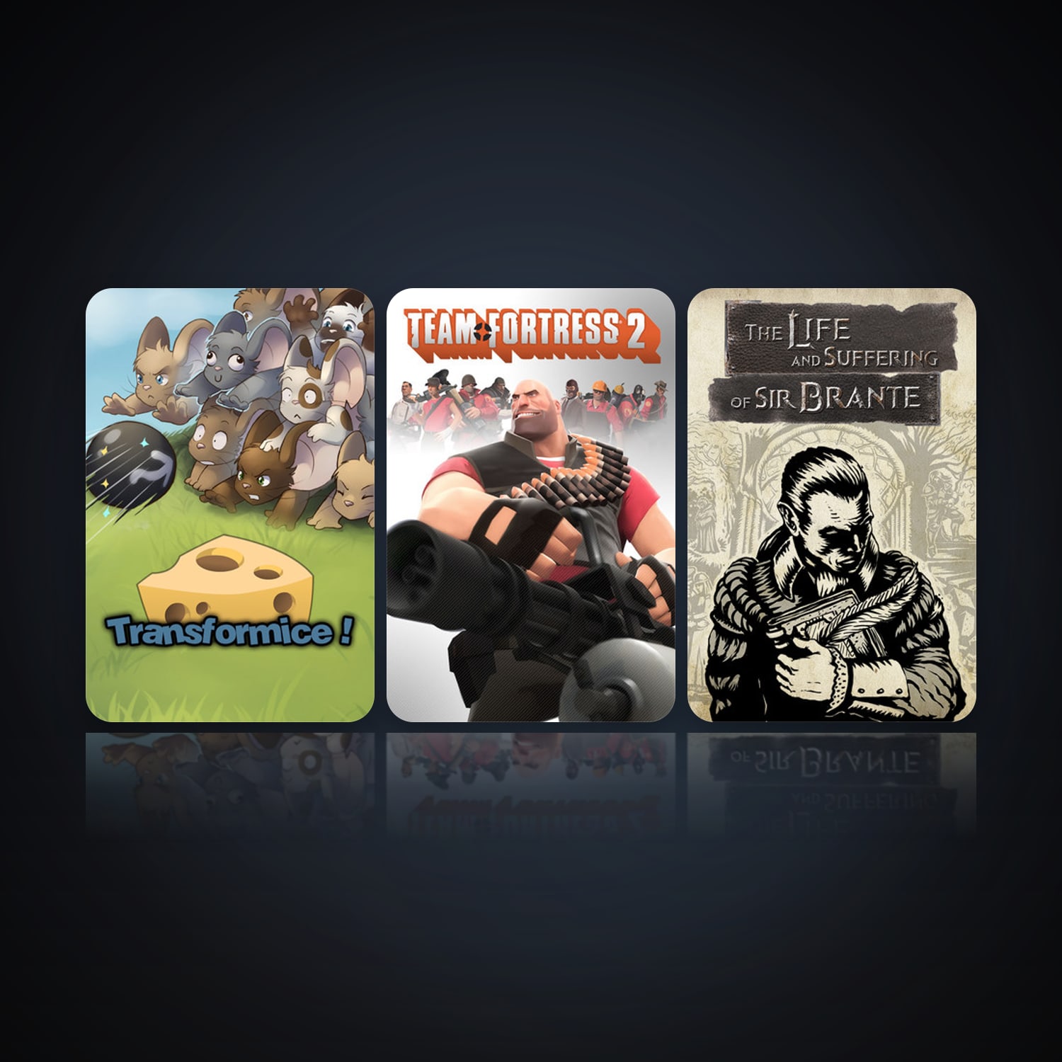 هالحساب ستيم فلين، Team Fortress 2 وTransformice، 5 لعبة، صامد واضح — HabibiAccounts