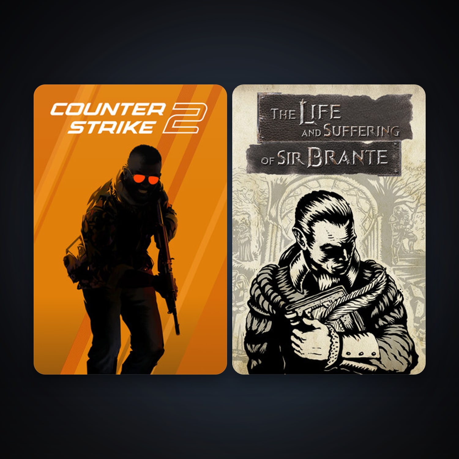 CS2 Prime + The Life and Suffering of Sir Brante, 3 games, clean — HabibiAccounts