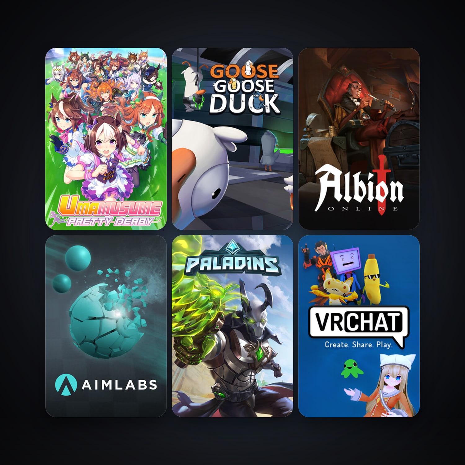 VRChat + Paladins, 20 games, clean — HabibiAccounts