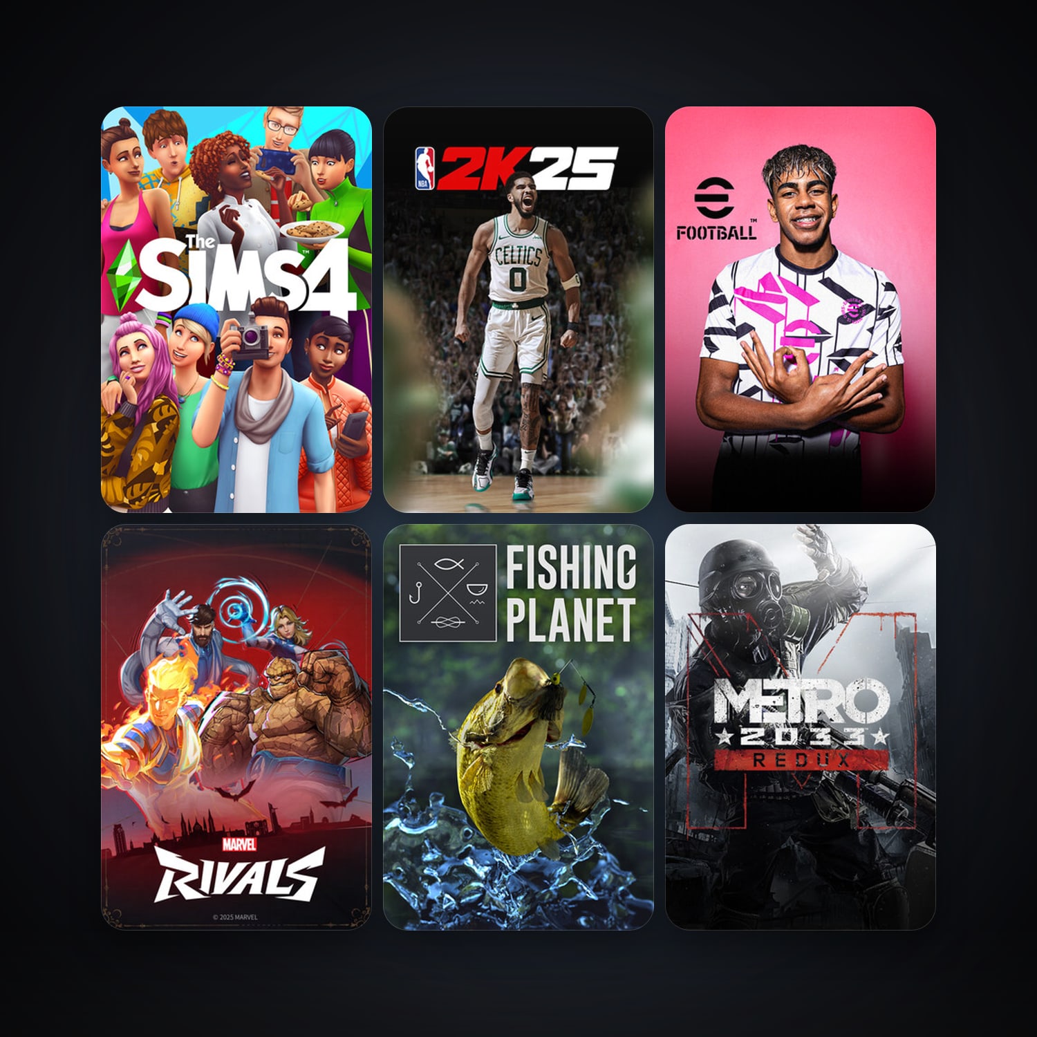 Metro 2033 Redux + Fishing Planet, 13 games, clean — HabibiAccounts